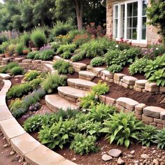 an outdoor garden with stone steps and landscaping