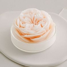 a white plate topped with a flower on top of it