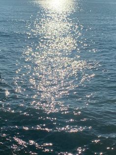 a person riding a surfboard on top of a body of water