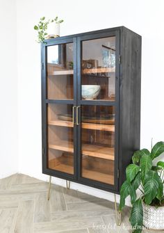 a black cabinet with glass doors next to a potted plant and wooden flooring