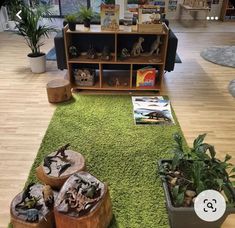 a living room filled with lots of plants and books on top of a green rug