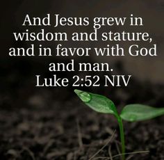 a small green plant growing out of the ground with a bible verse above it that says, and jesus grew in wisdom and statute