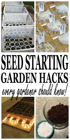 seed starting garden hacks for every gardener should know, and how to use them