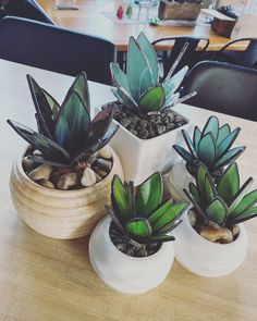 three potted plants sitting on top of a wooden table next to rocks and pebbles