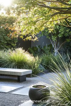 a bench sitting in the middle of a garden next to tall grass and trees with sun shining on it