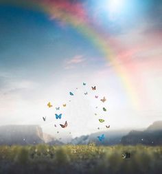 there is a rainbow in the sky and many butterflies are flying around it on the ground