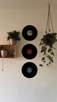 three vinyl records hanging on the wall with plants in pots and potted plants next to them