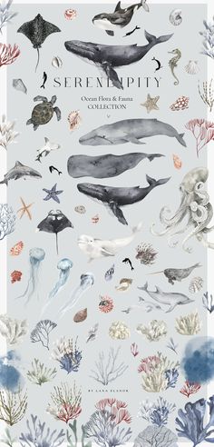 an ocean scene with dolphins and other marine life