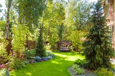 a lush green yard surrounded by trees and bushes