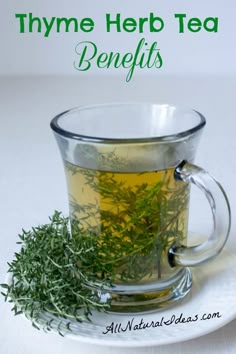 thyme herb tea benefits in a glass cup on a saucer with fresh herbs