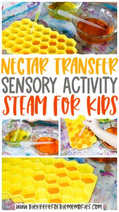 a collage of photos showing how to make honey transfer for preschoolers with text overlay that reads nectar transferer sensory activity for preschoolies