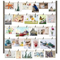 PRICES MAY VARY. Multi Photo Display - The wood photo frame comes with 30 "clothespins", 6 short wood pieces and 5 twine cords, which satisfies multi pictures display Wonderful Decoration - Great way to organize and display pictures, casual and neat design; fun and unique way to liven up your home, office or dorm room Easy Assembling and Mounting - Just connect the woods to be a frame and hang it on the wall; mounting hardwares included; suitable for both horizonal and vertical wall mounting Fle Clip Picture Frame, Picture Organization, Family Picture Frames, Display Frames, Hanging Display, Multi Picture, Framed Photo Collage, Hanging Picture Frames, Wood Photo Frame