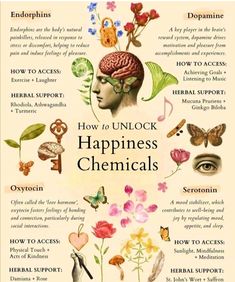 Happiness Chemicals, Ayurveda Life, Energy Healing Spirituality, Herbal Magic