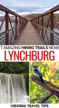 a bridge over a river with waterfalls and trees in the background text reads 7 amazing hiking trails near lynchburg virginia travel tips