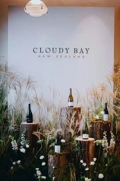 bottles of wine sitting on top of wooden stumps in front of a sign that says cloudy bay new zealand