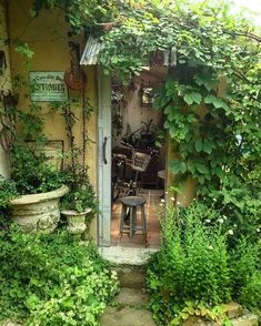 an open door to a garden with lots of greenery