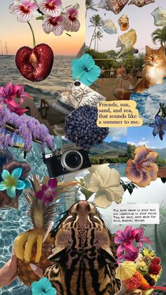 a collage of flowers, fruits and other things