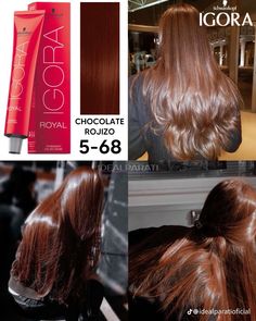 Igora Hair Color, Hair Dye Techniques, Best Hairstyles For Women, Korean Hair Color, Colored Hair Tips, Hair Curling Tips, Hair Color Formulas