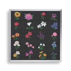 a cross stitch pattern with different flowers on black background and white trimmings, framed in silver frame