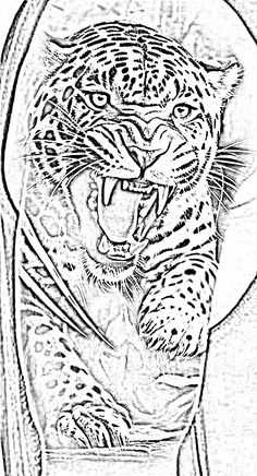 a black and white drawing of a tiger with its mouth open in front of the camera