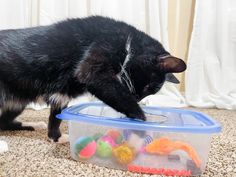 a black and white cat playing with toys in a plastic container