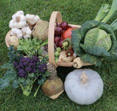 a basket filled with lots of different types of fruits and vegetables on top of grass