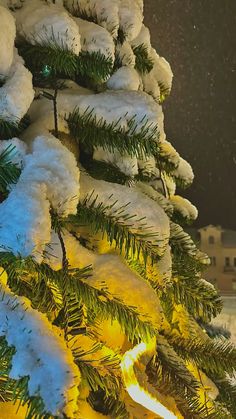 a christmas tree is covered in snow and lite up with green lights at night