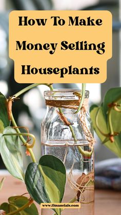 a glass jar filled with money sitting on top of a table next to a plant