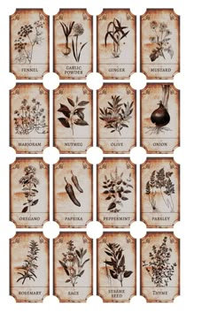 twelve different types of herbs are shown in this image