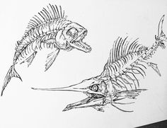 two drawings of fish with long beaks and large teeth