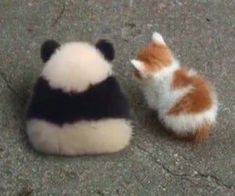 a small stuffed animal sitting next to a smaller stuffed animal on the ground in front of it