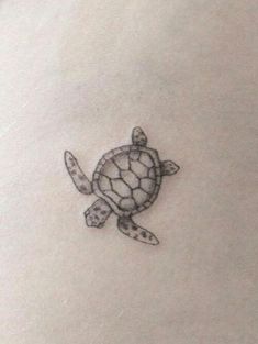 a small turtle tattoo on the stomach