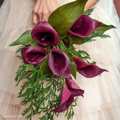 a bride holding a bouquet of purple flowers