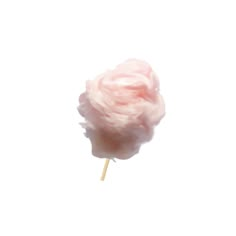 a pink cotton candy on a stick against a white background