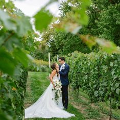 a bride and groom kissing in the vineyard