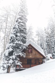 a cabin in the woods with snow on the ground and trees covered in snow,