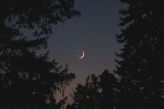 the moon is seen through some trees at night