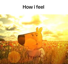 a cartoon dog in a field with the words how i feel on it's face