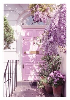 a pink door and some potted plants on the side of a white building with purple flowers