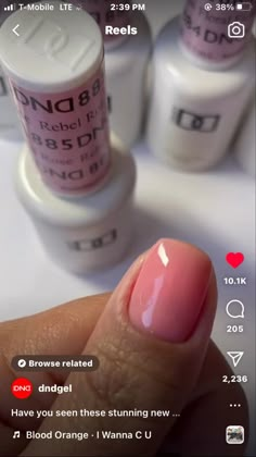 Dnc Nail Colors Gel Neutral, Dnd Neutral Nails, Dnd French Manicure, Gel Nail Colors Summer 2023, Neutral Dnd Nail Colors, Dnd Neutral Gel Polish Colors, Dnd Milky White Polish, Dnd Gel Polish Colors Summer 2023, Opi Gel Polish Colors Summer 2023