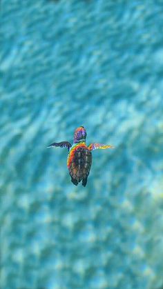 a colorful bird flying over the ocean water