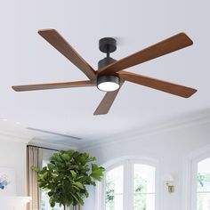 a ceiling fan in a living room with a potted plant on the table next to it