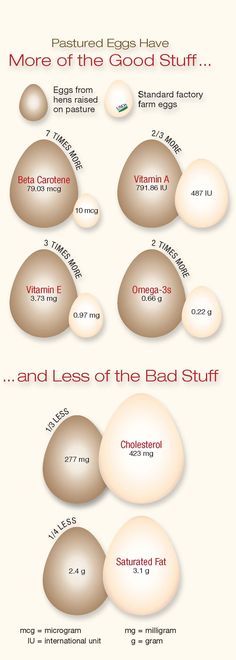 an info sheet with different types of eggs and what they mean to be in them