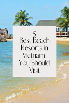 the beach with palm trees and text that reads 5 best beach resort in vietnam you should visit