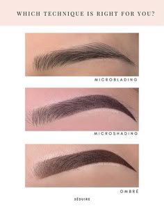 Eyebrow Ombre, Pmu Brows, Ombre Brows, Brow Tattoo