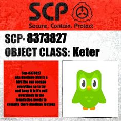 a red and white poster with an owl on it's back side, in front of the scp logo