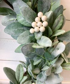 a close up of a plant with white berries on it