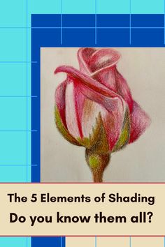 a drawing of a pink rose with the words, the 5 elements of shading do you know them all?