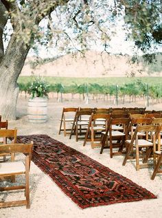 rows of wooden chairs sitting under a tree in front of an area rug that has been placed on the ground