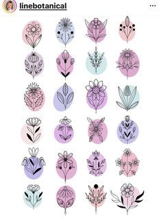 an image of flowers in different colors on a white background with the text linebotanical